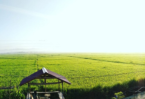 Pilgrimage Tour Ilocos 